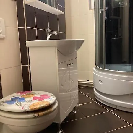 3 De Inchiriat Craiova