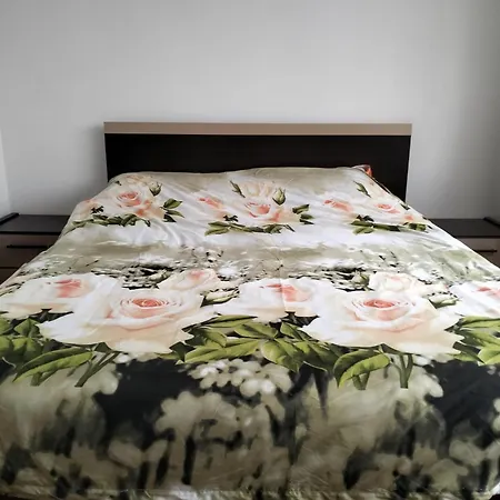 3 De Inchiriat Apartment Craiova