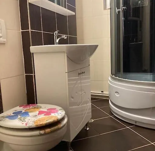 3 De Inchiriat Craiova